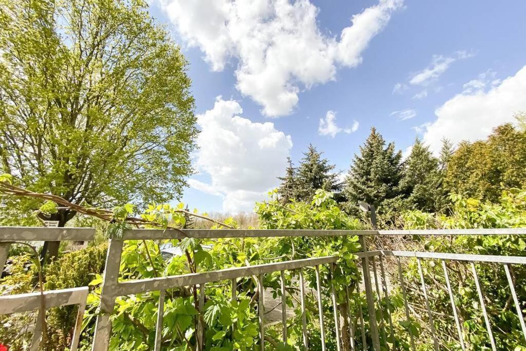 Am Auensee Mit Grosser Terrasse & Privat-parkplatz Apartment *